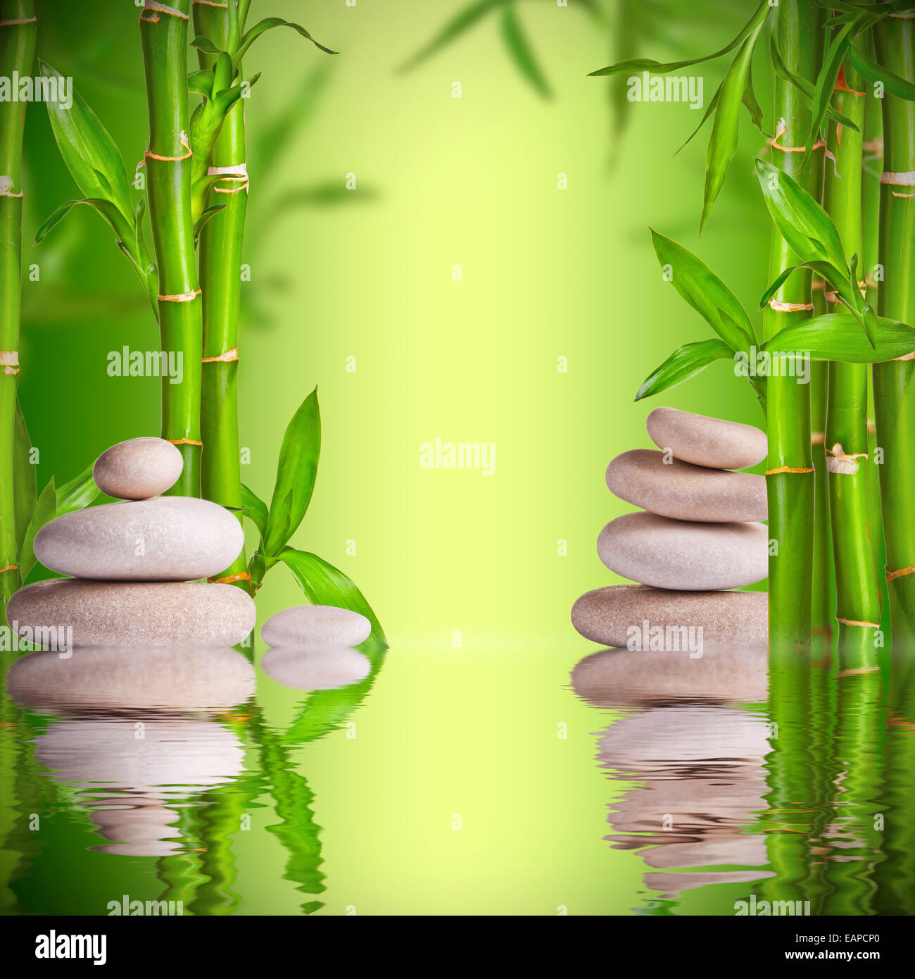 Spa still life with white stones and bamboo sprouts with free space for text Stock Photo