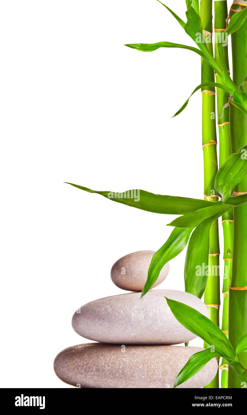 Spa still life with white stones and bamboo sprouts with free space for text Stock Photo