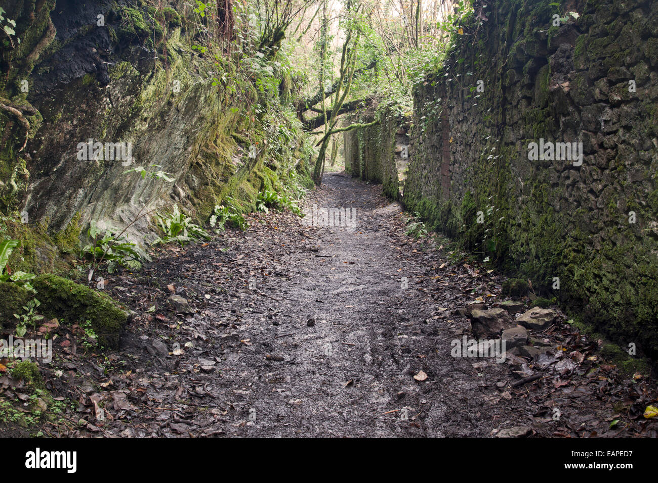 Abandoned Fussells Old Iron Works, Mells, Somerset, England, UK Stock Photo