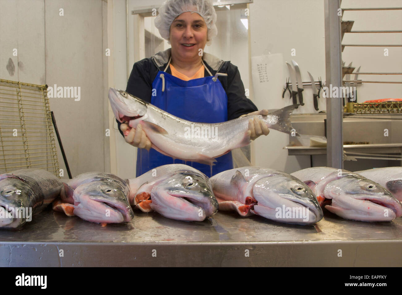Woman Worker Shows Off Fish At The Dancing Salmon Fish Processing