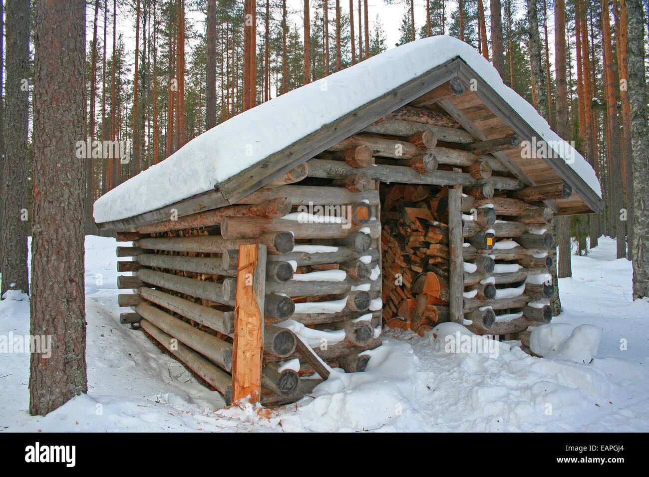 Log wood shed hot sale
