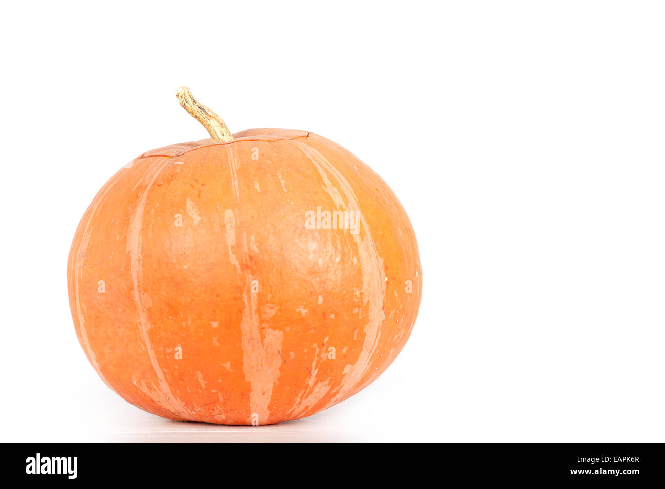 Pumpkin isolated on white background Stock Photo - Alamy
