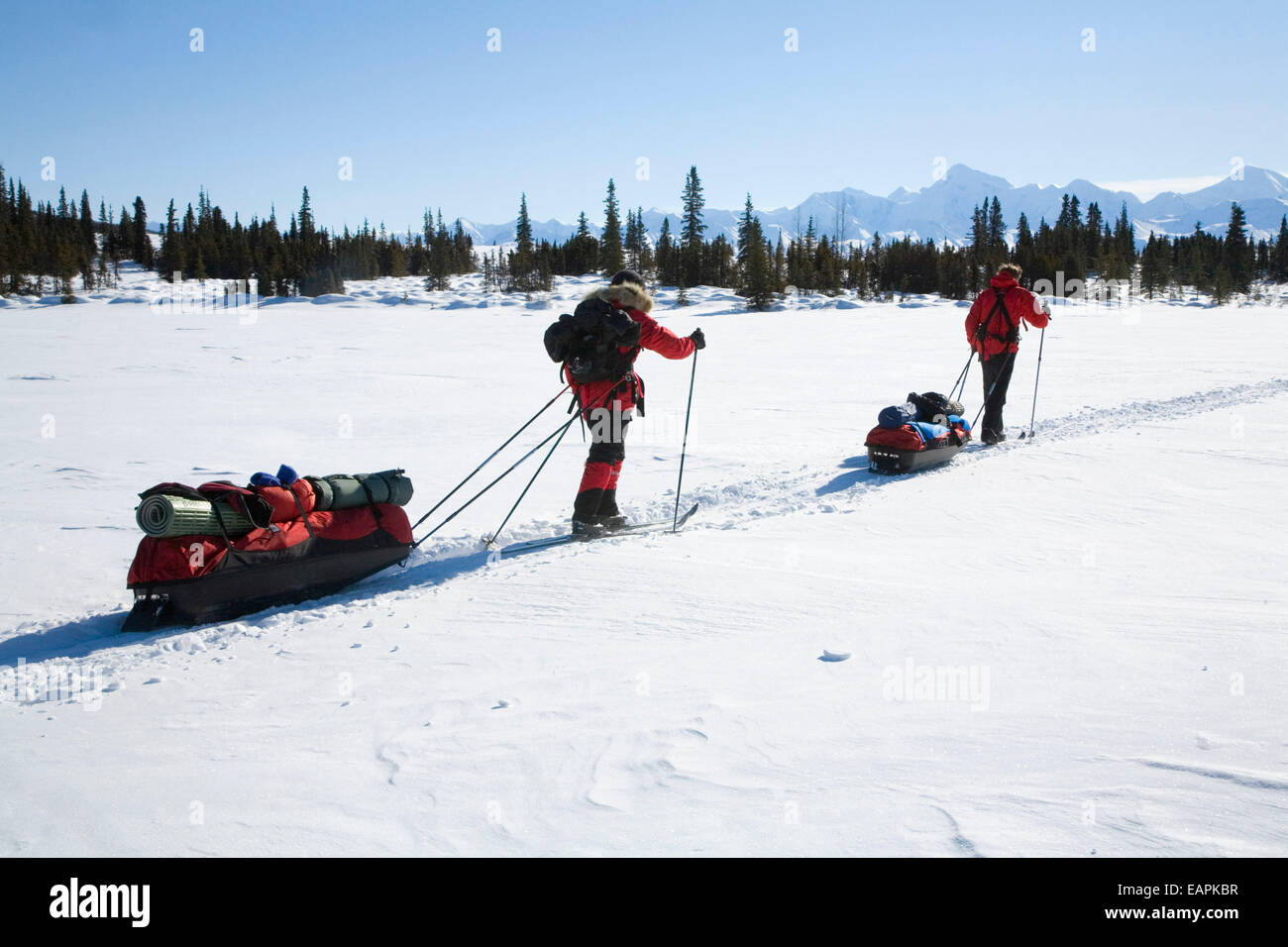 Denali National Park Skiing High Resolution Stock Photography and