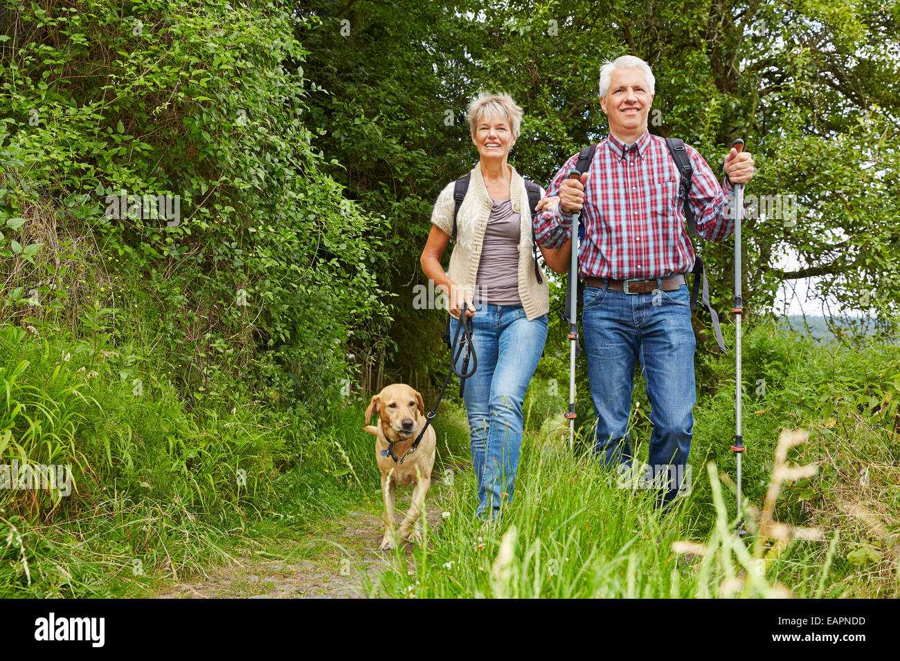 Happy senior couple doing Nordic Walking with dog in a forest Stock Photo