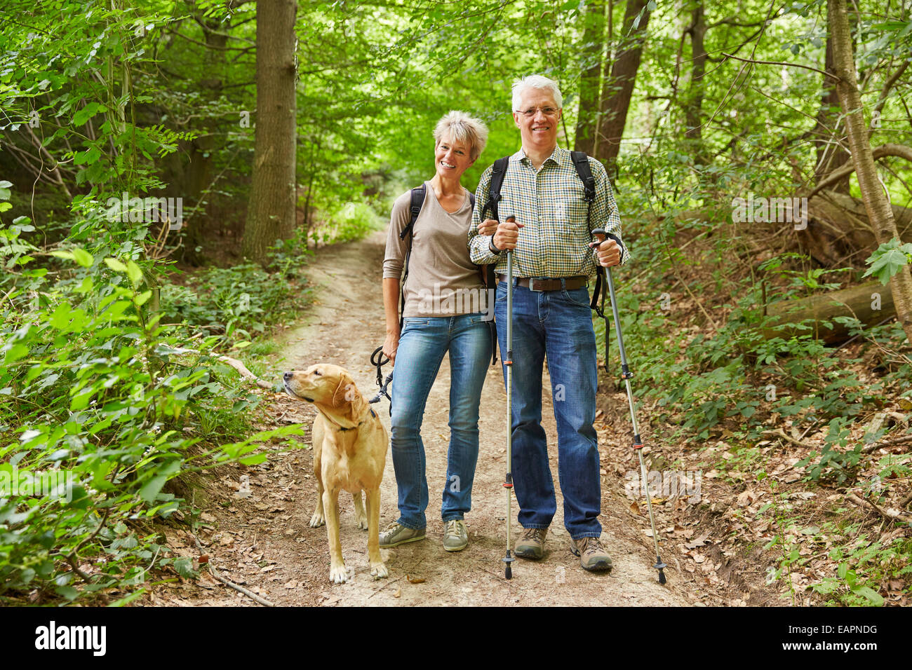 Smiling senior couple on a hike walking with a dog in a forest Stock ...