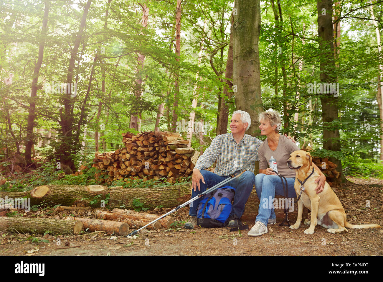 Happy senior couple sitting in forest with dog in summer Stock Photo ...