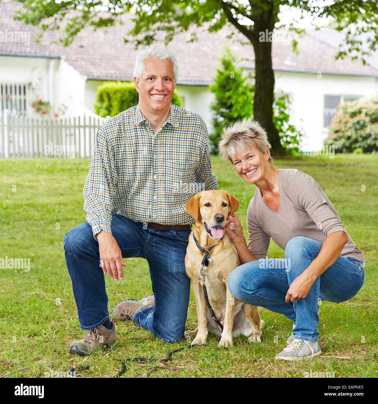 Happy senior couple sitting with labrador retriever dog in a garden ...