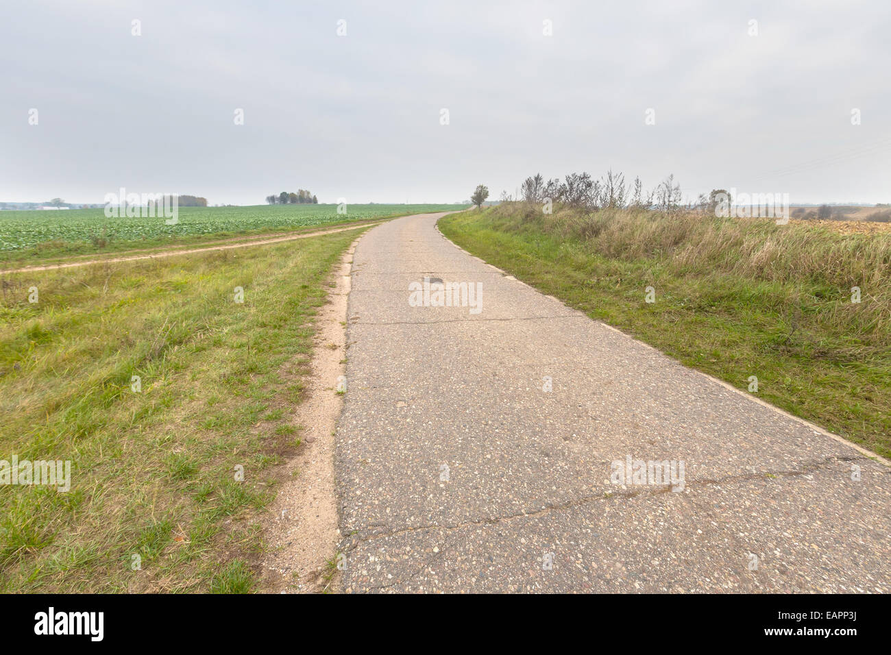 Landscape with asphalt rural road Stock Photo - Alamy