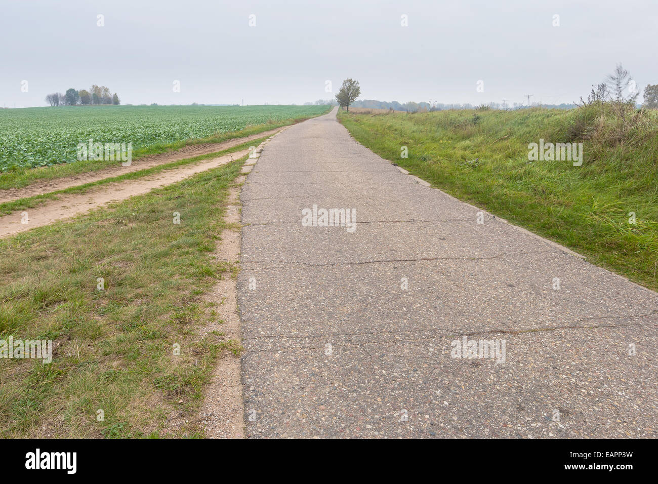 Landscape with asphalt rural road Stock Photo - Alamy