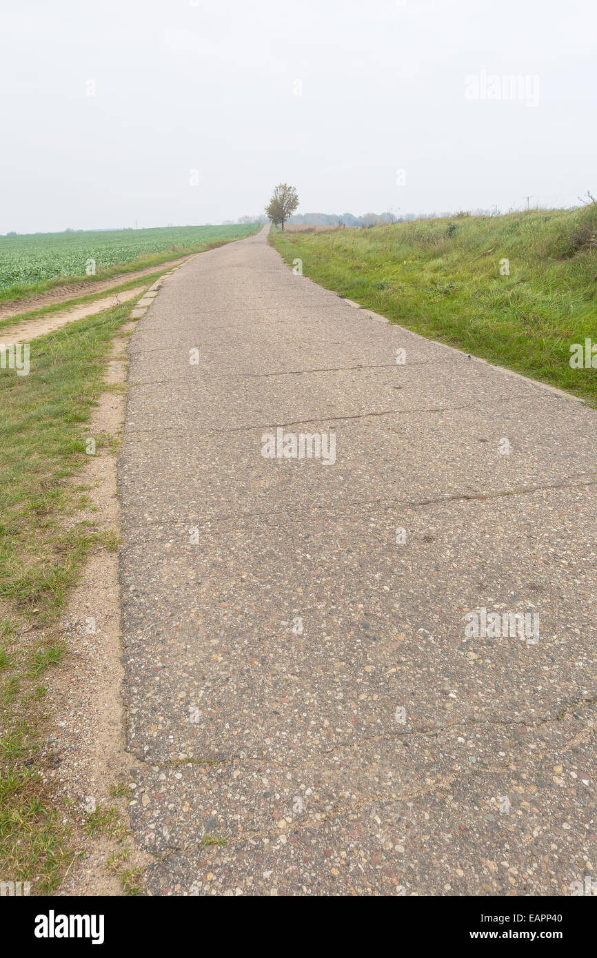 Landscape with asphalt rural road Stock Photo - Alamy