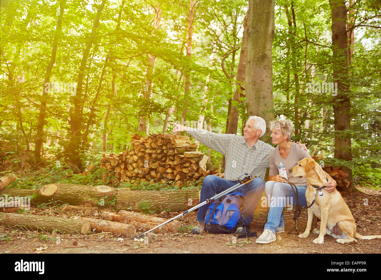 Senior couple with dog seeing goal of hiking trip in a forest Stock Photo