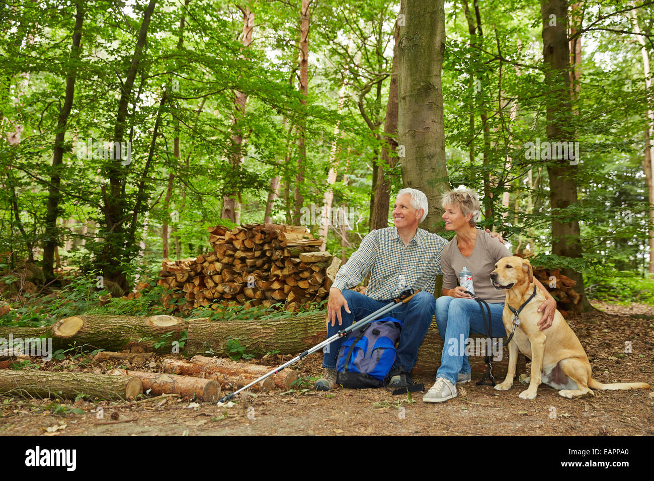 Two seniors on a hike with dog in a forest taking a break Stock Photo ...