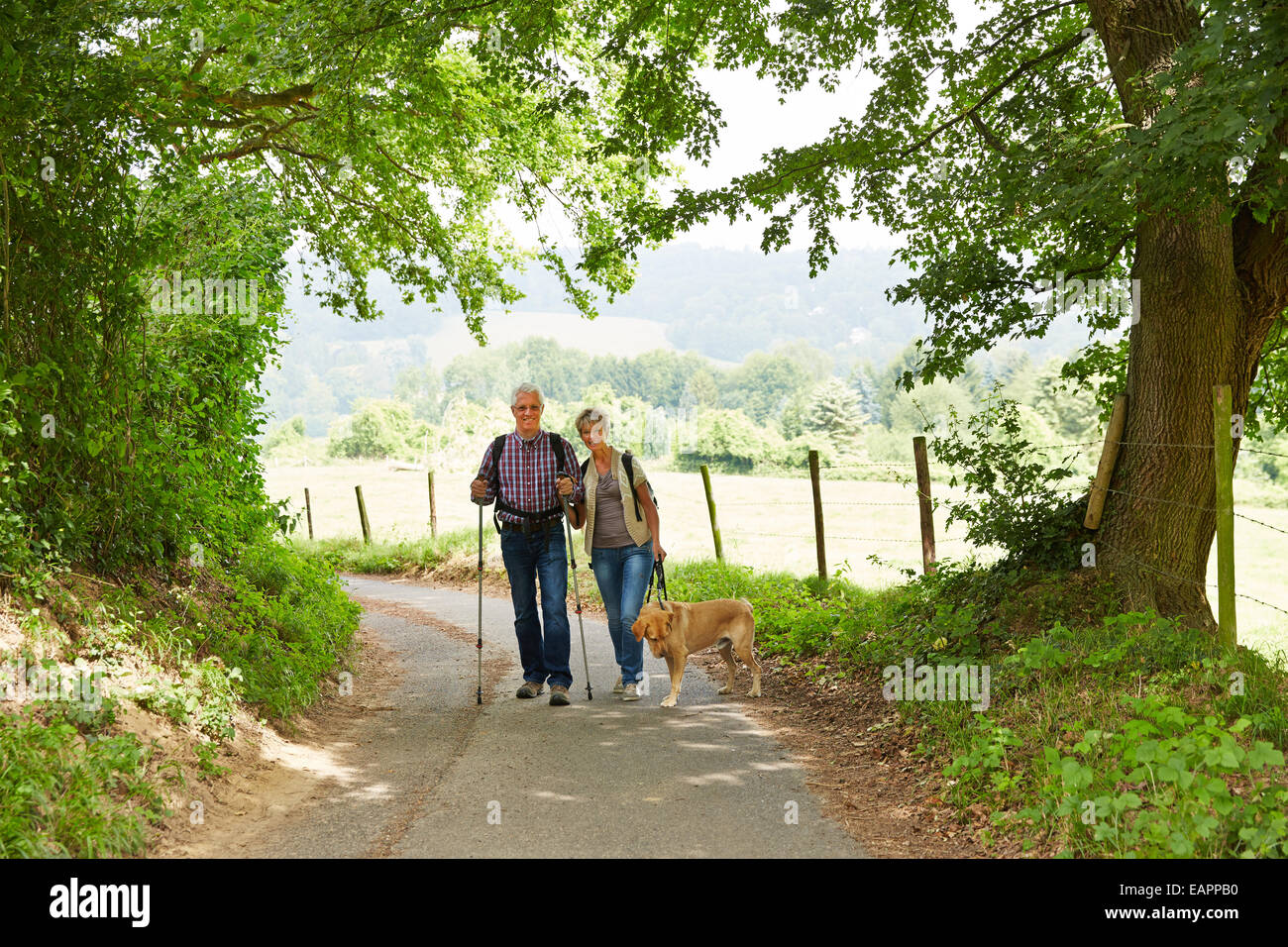 Hiking with dog hi-res stock photography and images - Alamy