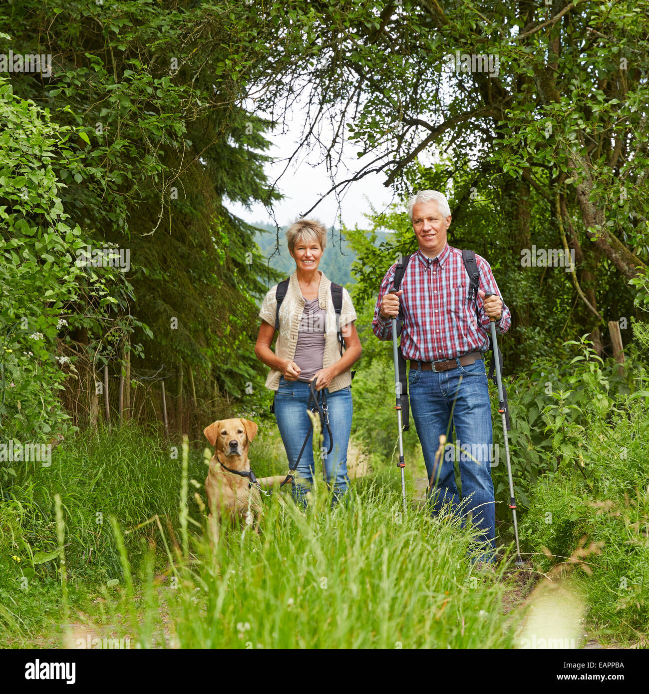 Happy senior couple with dog on a hike in summer in the nature Stock ...