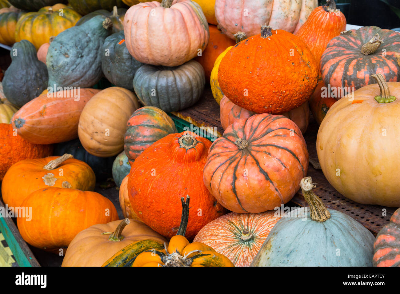 various vegetables at a market stall Stock Photo