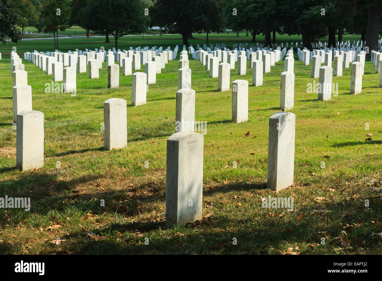 Arlington National Cemetery, Virginia, USA Stock Photo