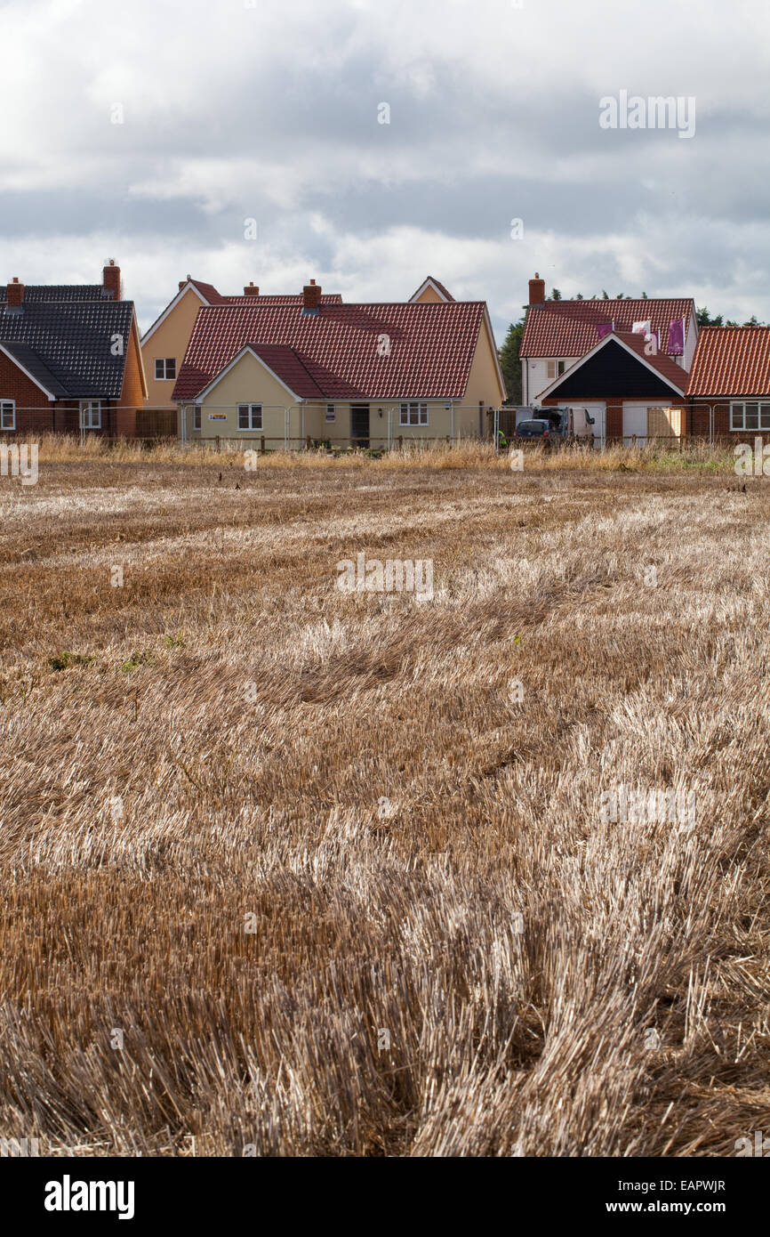 New Housing. Expansion into 'green belt'. Norfolk. East Anglia. England. UK. Stock Photo