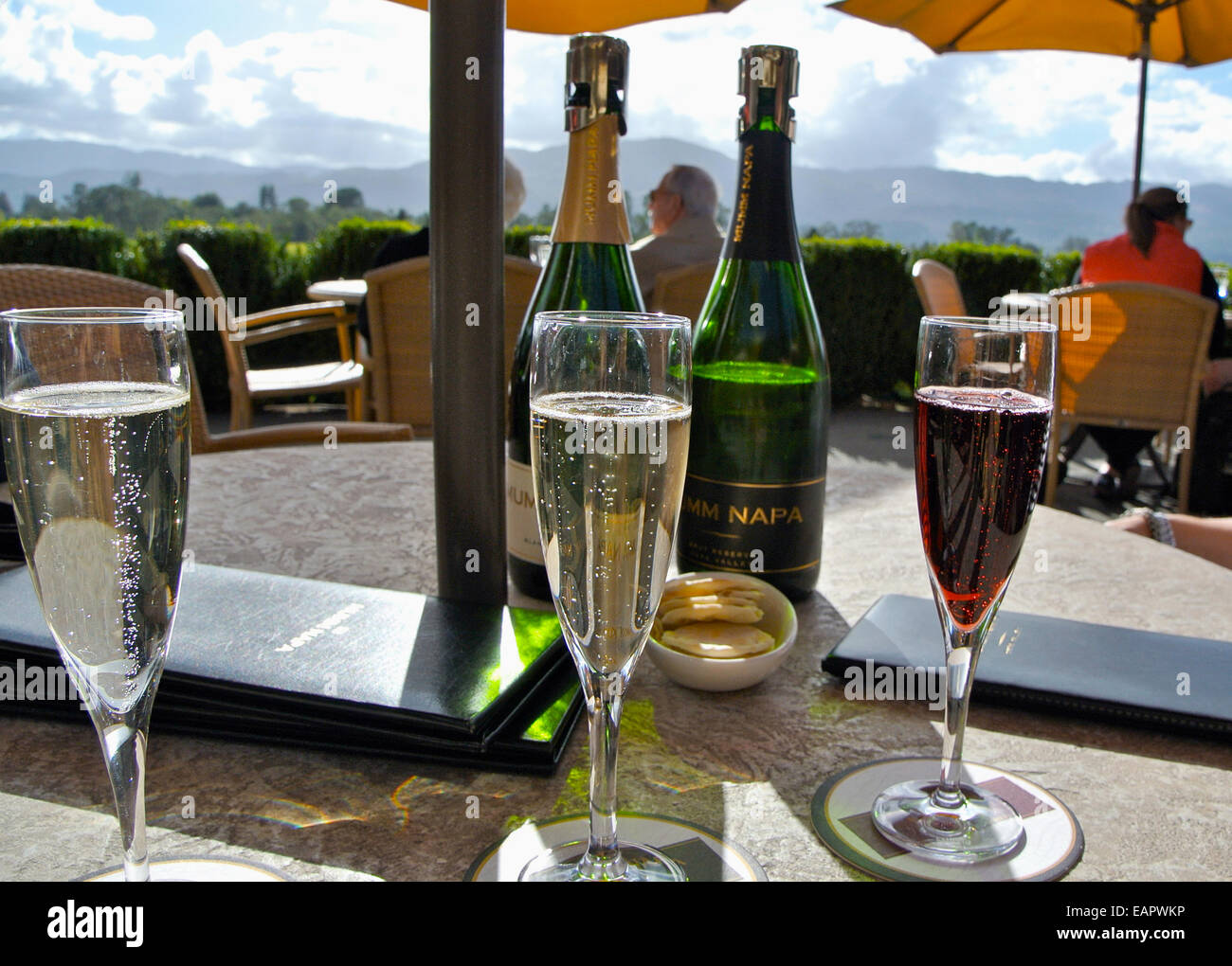 sparkling wine taster selection at Mumm Napa winery in Rutherford