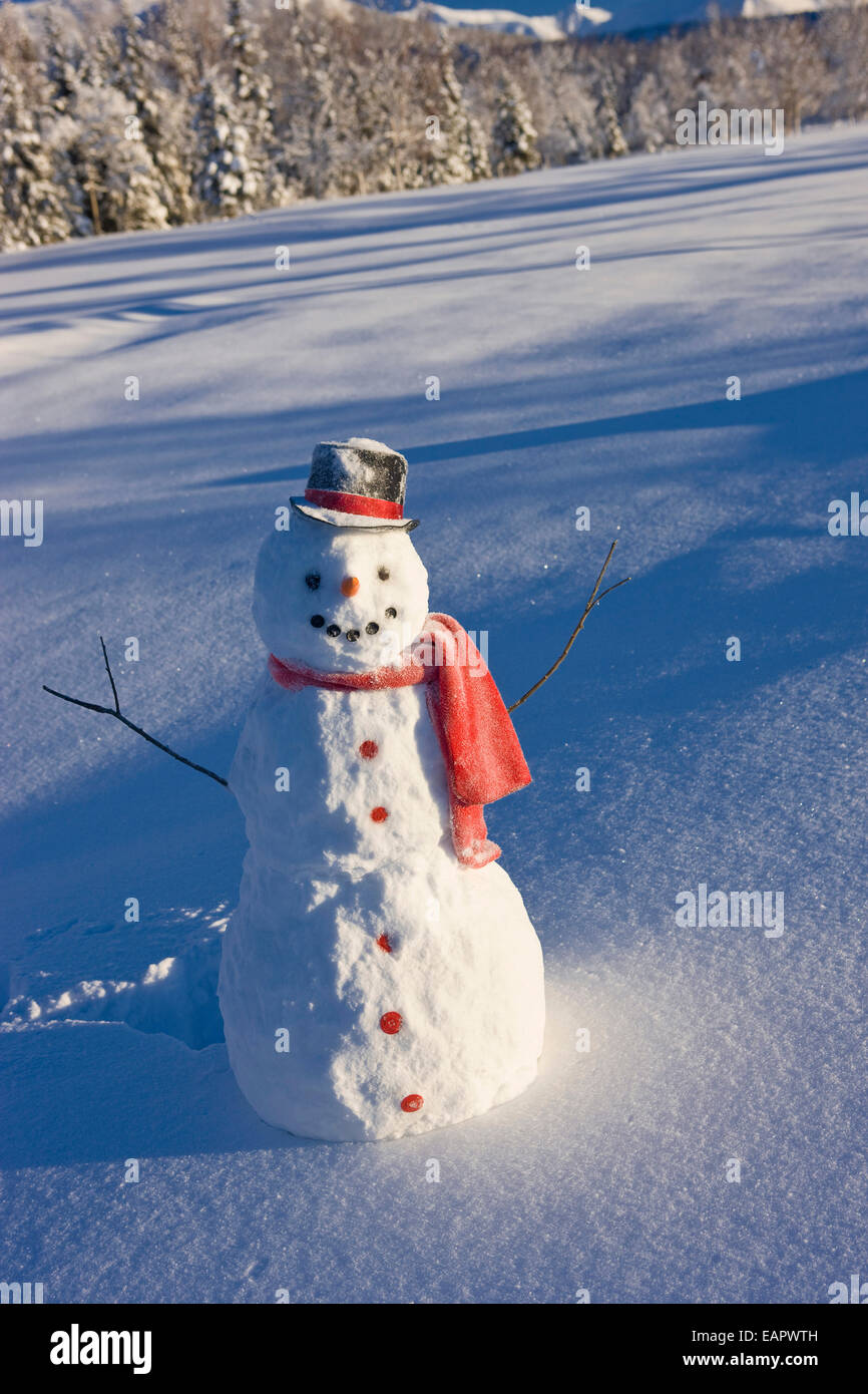 Snowman With Red Scarf And Black Top Hat Standing In Front Of Snow ...