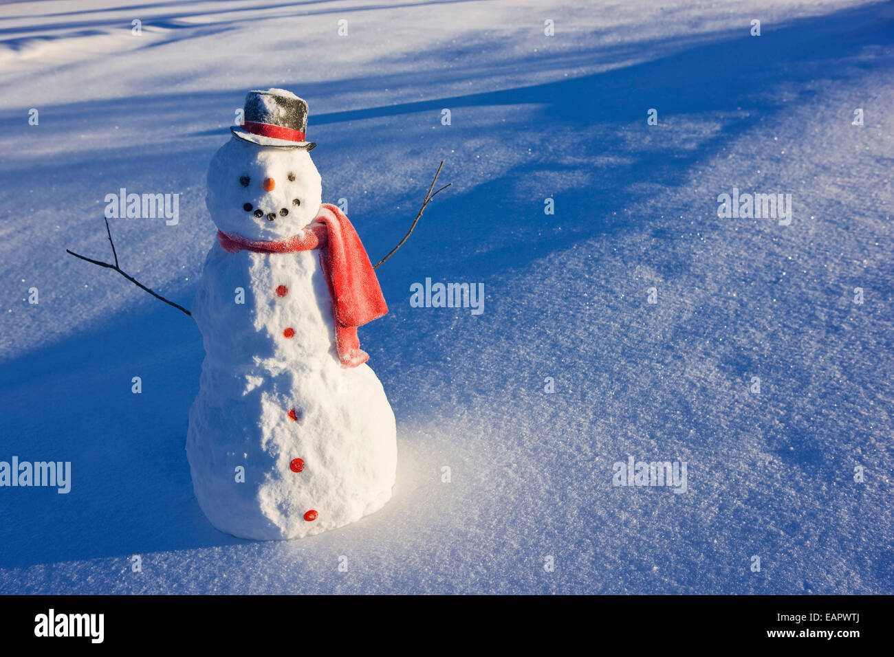 Snowman With Red Scarf And Black Top Hat Standing In Front Of Snow ...