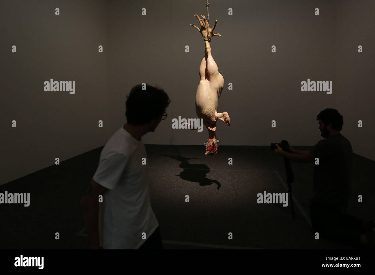 (141120) -- SAO PAULO, Nov. 20, 2014 -- Visitors watch the sculpture entitled 'Still Life' by Australian artist Ron Mueck, in Sao Paulo, Brazil, on Nov. 19, 2014. An exhibition of Ron Mueck will be held at the Pinacoteca of the State of Sao Paulo from Nov. 20 to Feb. 15. (Xinhua/Rahel Patrasso) (jp) Stock Photo