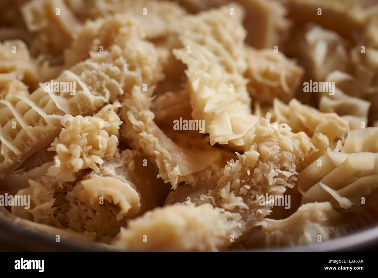 Cooked strips of honeycomb tripe Stock Photo