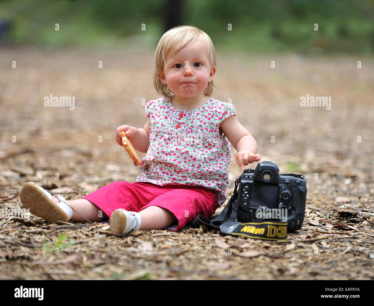 A young 1yr old girl trying out her dads Nikon D3 professional camera while out on a family walk in Melbourne, Australia. Stock Photo