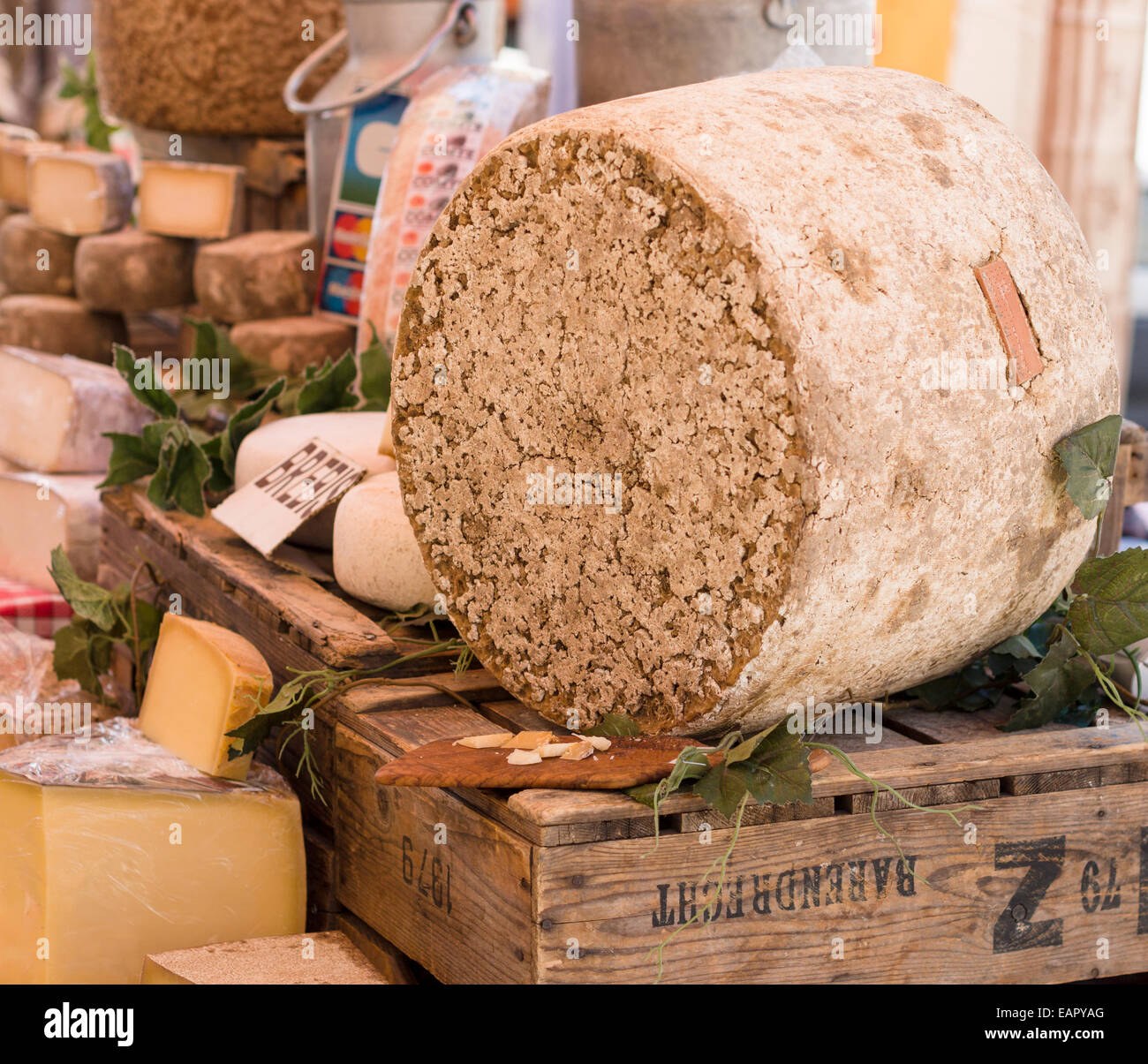 A round of rind covered cheese. A display at a cheese vendor's market