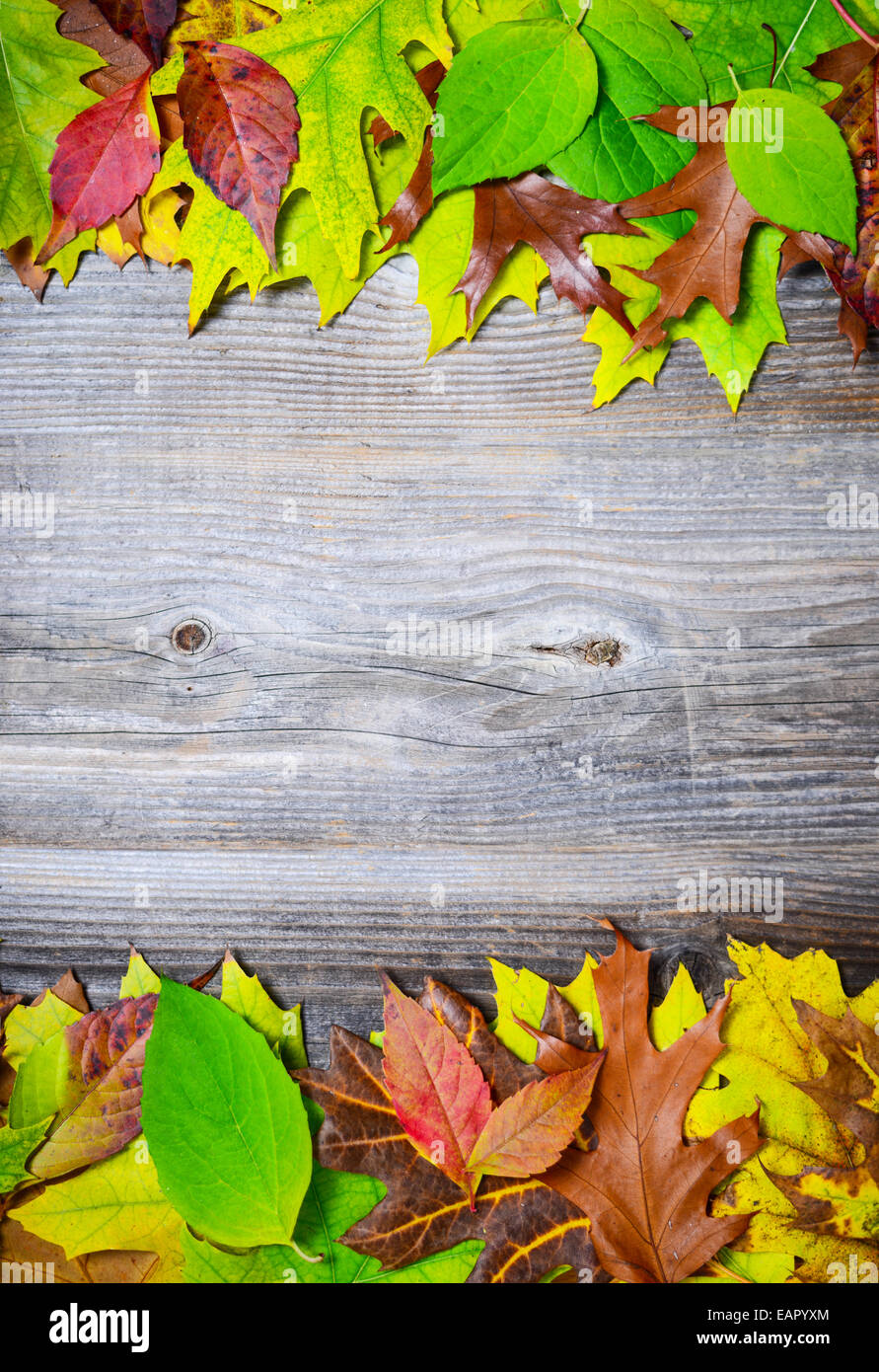 Rusty leaves over wooden hi-res stock photography and images - Alamy