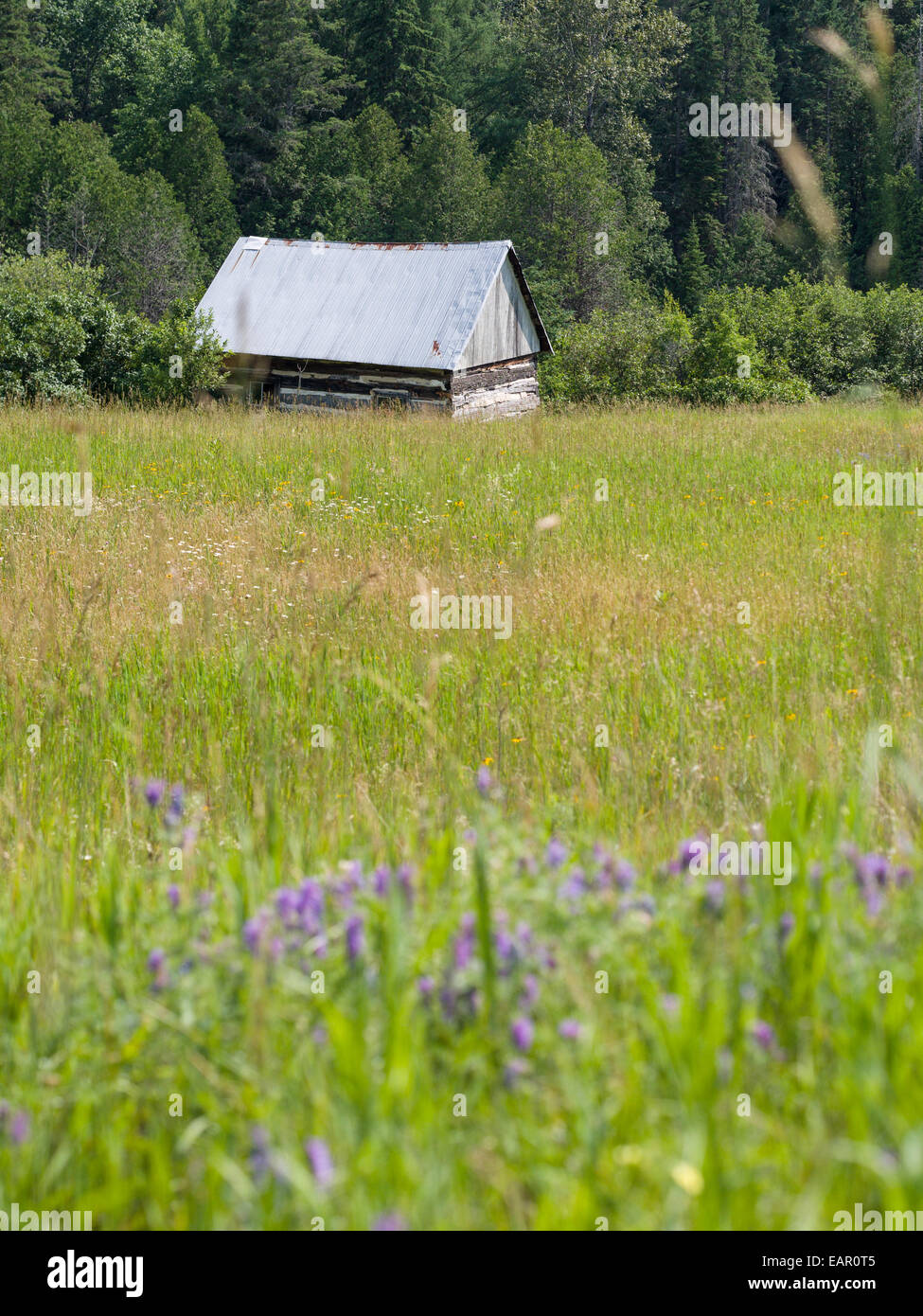 Isolated Log Cabin in a grassy field. Tommy's Cabin at the edge of the