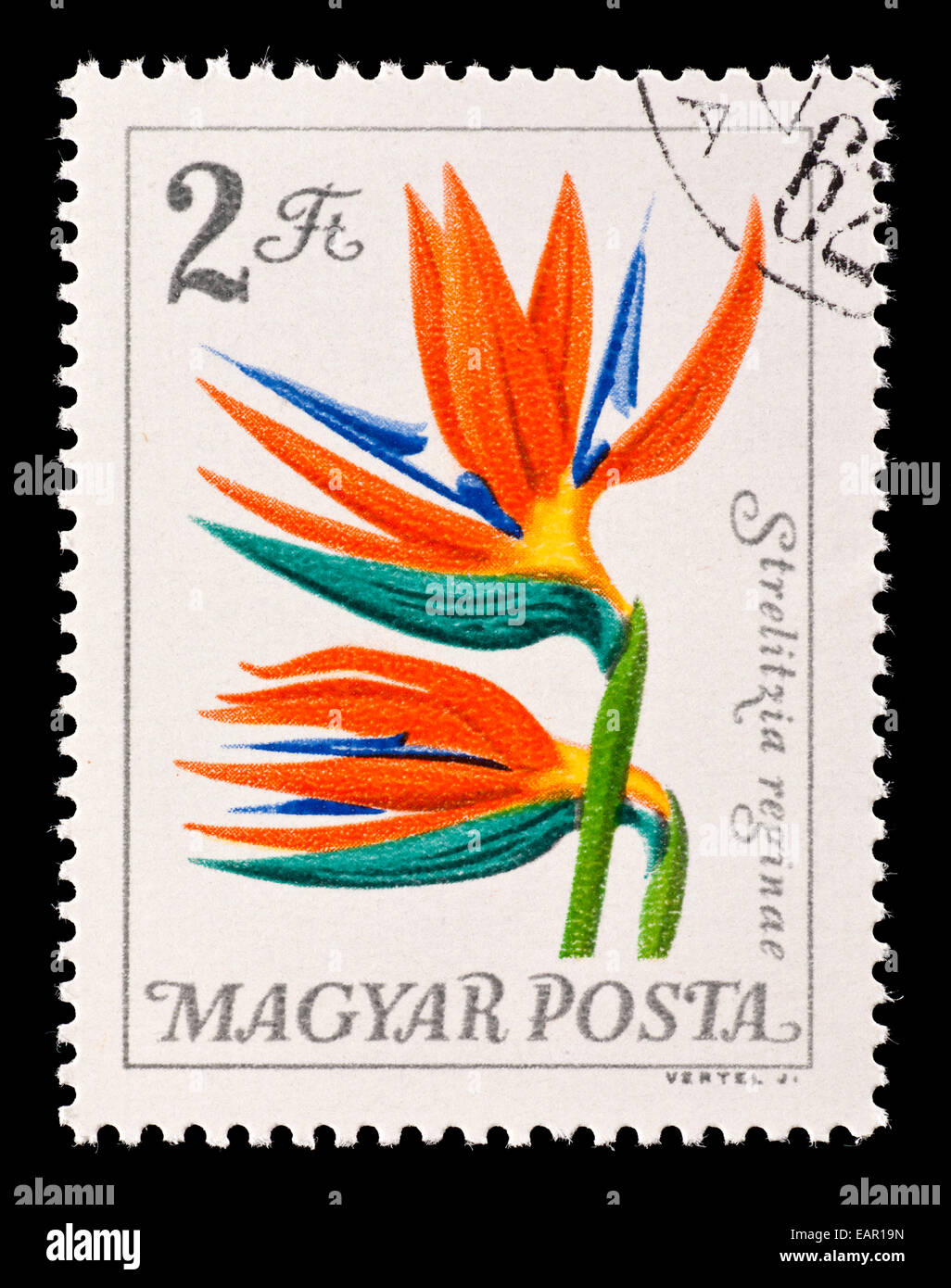Postage stamp from Hungary depicting a bird of paradise flower ...