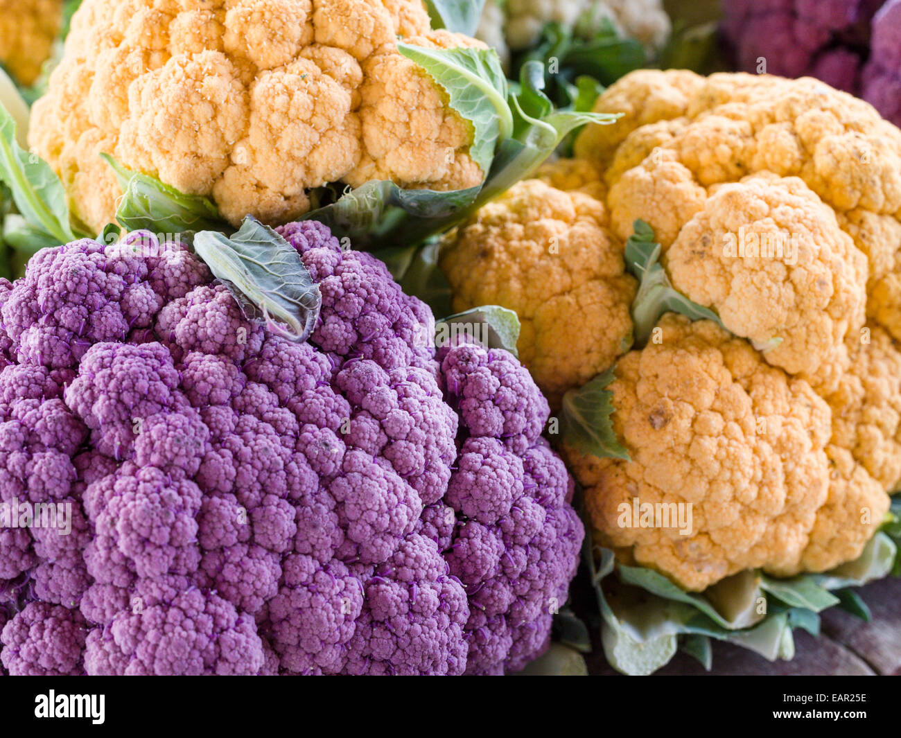 Orange and Purple Heads of Cauliflower. A display of cauliflower at a
