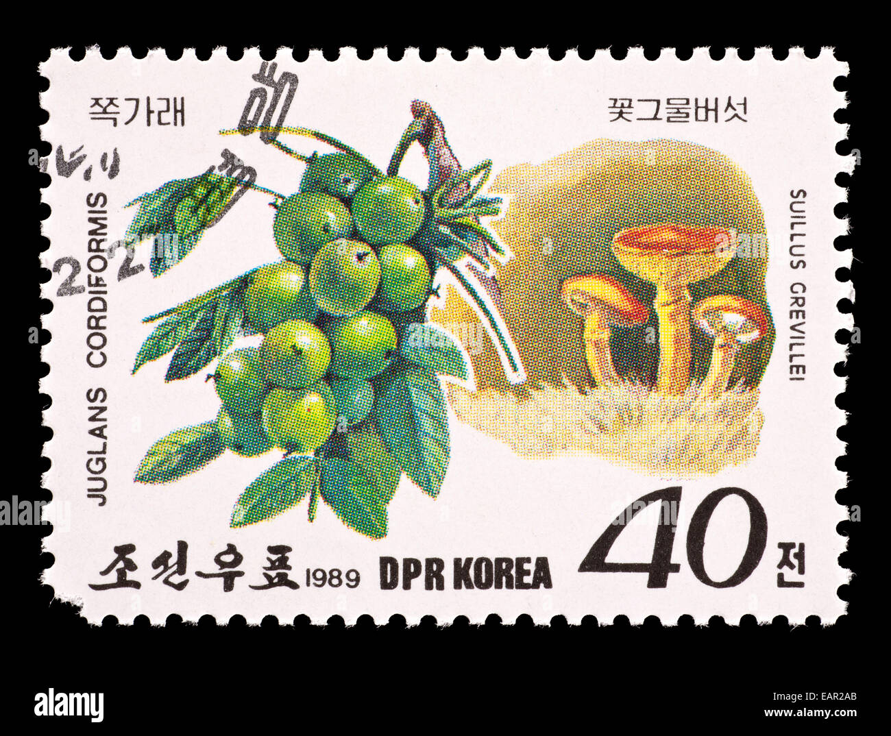 Postage stamp from North Korea depicting Japanese Walnut fruits (Juglans cordiformis) and Larch Bolete (Suillus grevillei) Stock Photo