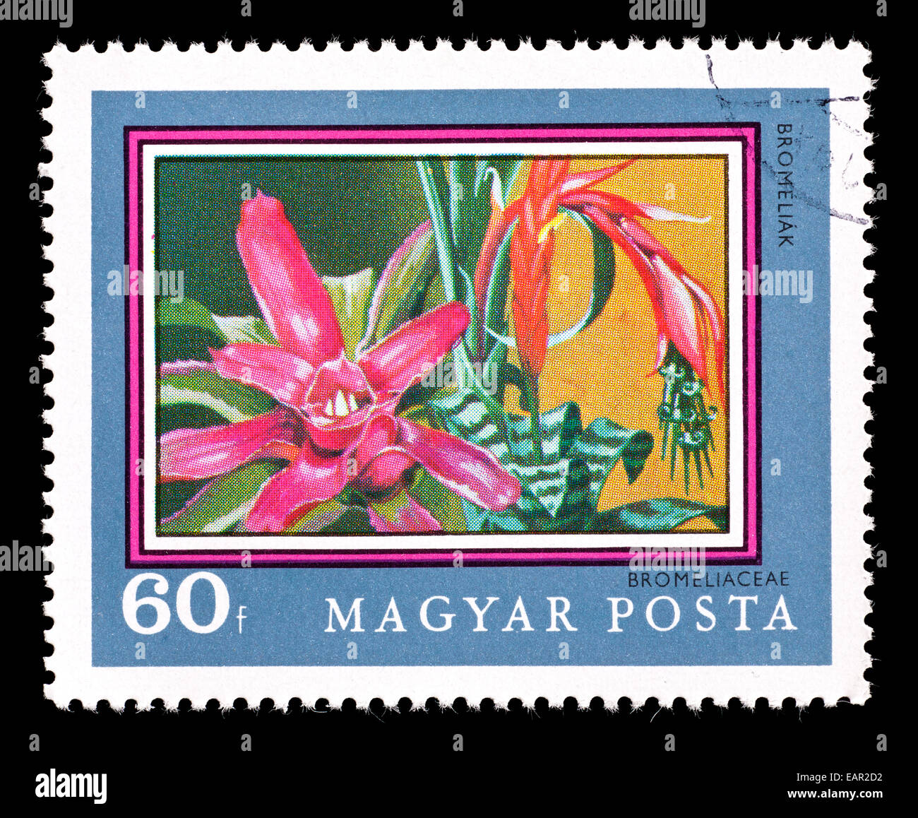 Postage stamp from Hungary depicting a bromeliad flower Stock Photo - Alamy