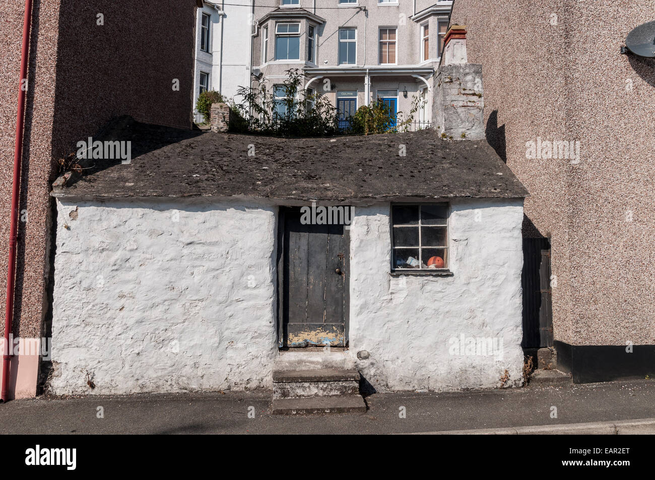 Single storey cottage set between two storeyed houses on the west side