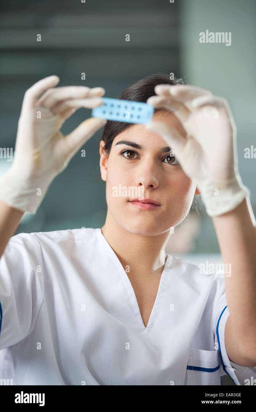 Researcher Analyzing Microscope Slide Stock Photo Alamy Researcher Analyzing Microscope Slide Stock Photo Alamy