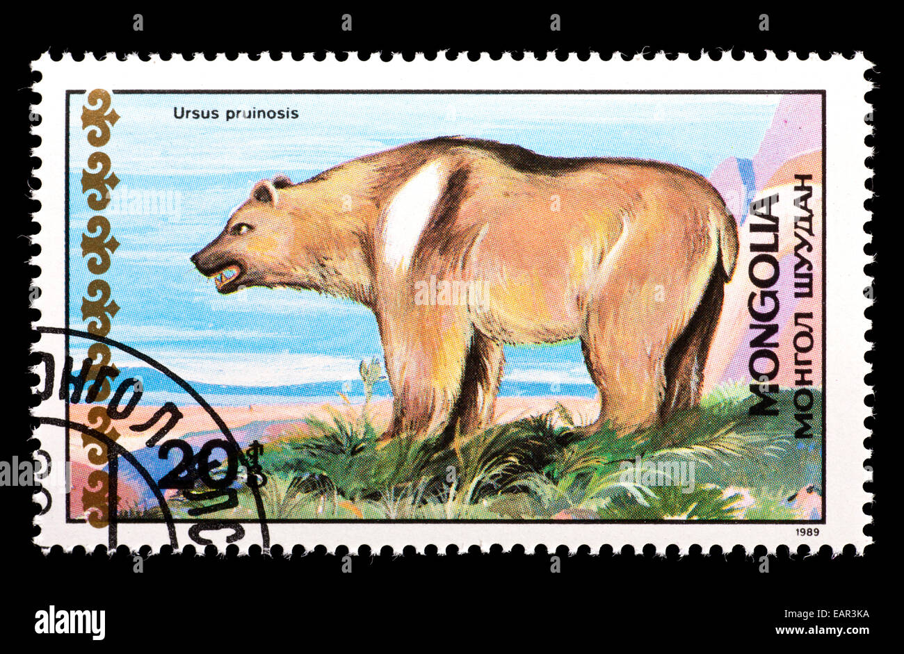 Postage stamp from Mongolia depicting a Tibetan bear or Tibetan blue bear (Ursus arctos pruinosus Stock Photo