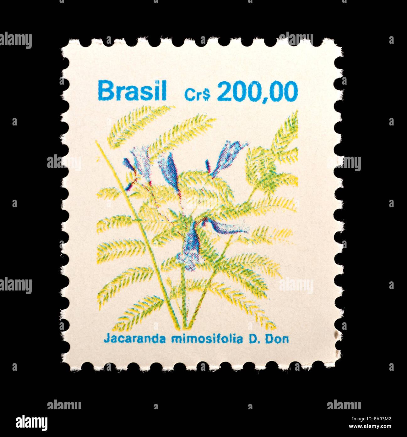 Postage stamp from Brazil depicting Jacaranda flowers (Jacaranda mimosifolia) Stock Photo