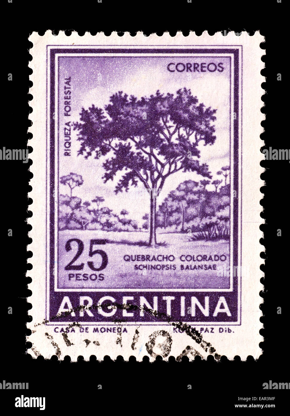 Postage stamp from Argentina depicting willow-leaf red quebracho (Schinopsis balansae) Stock Photo
