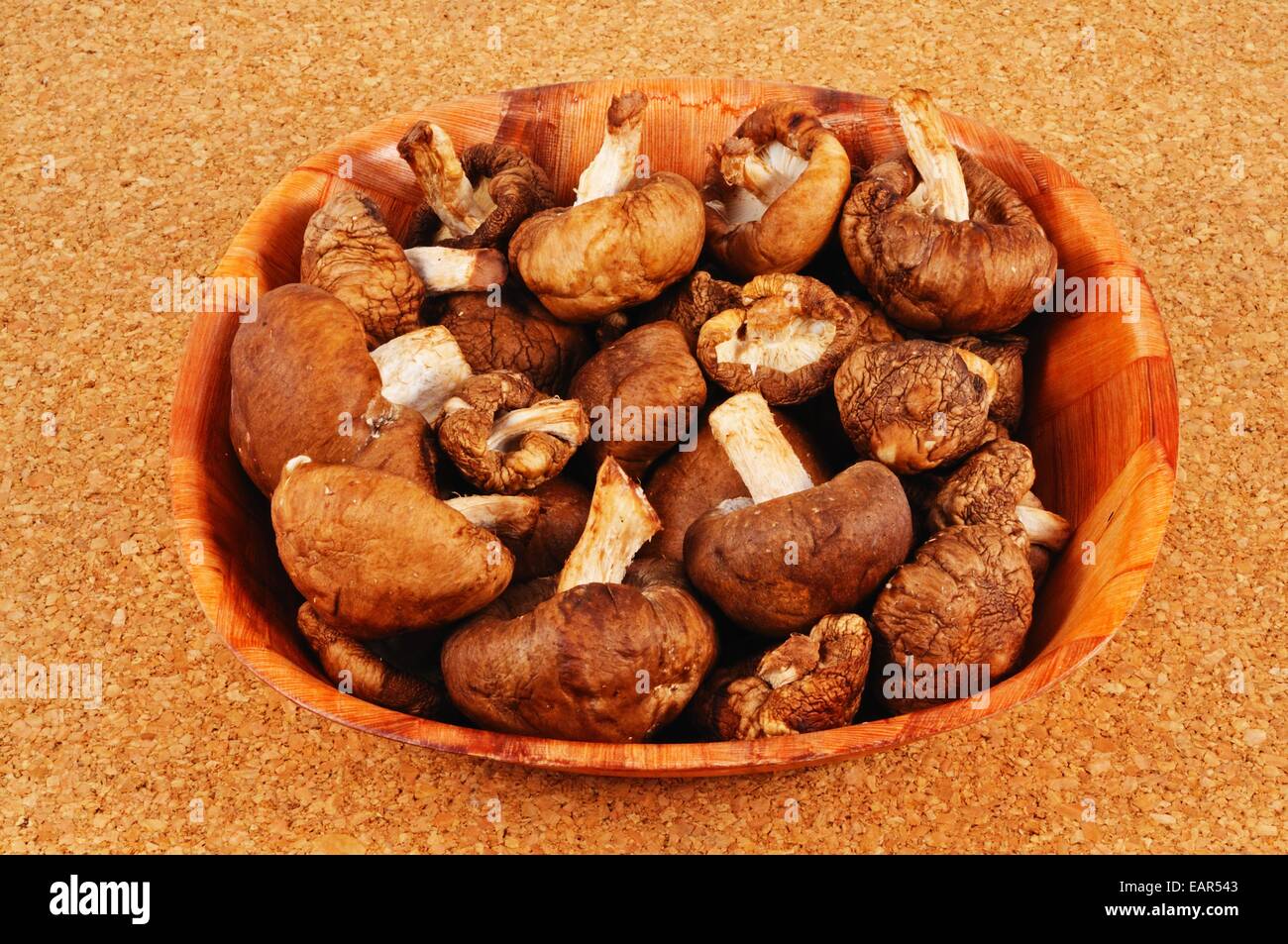 Raw Shiitake mushrooms in a dish Stock Photo Alamy