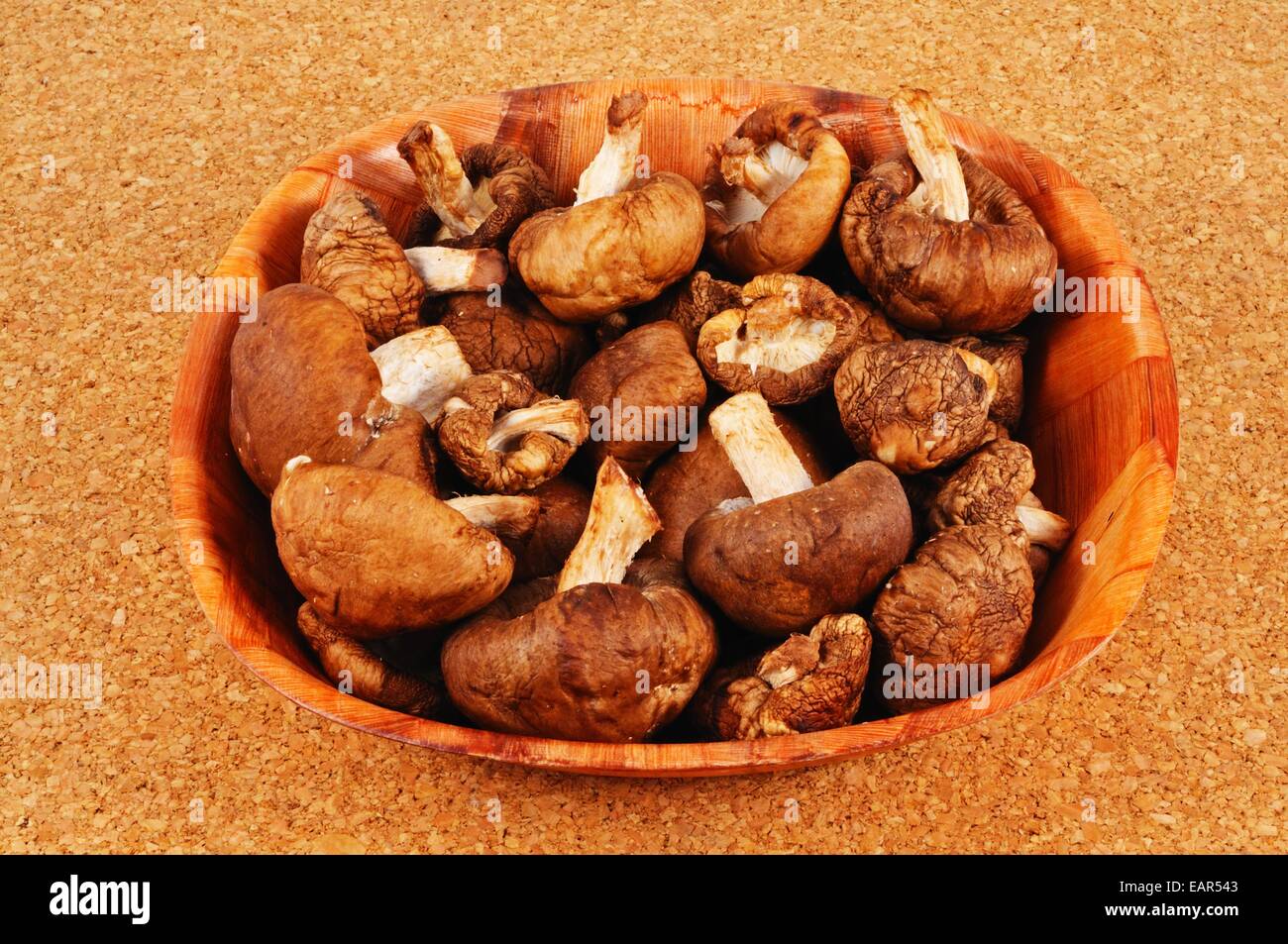 Raw Shiitake mushrooms in a dish. Stock Photo