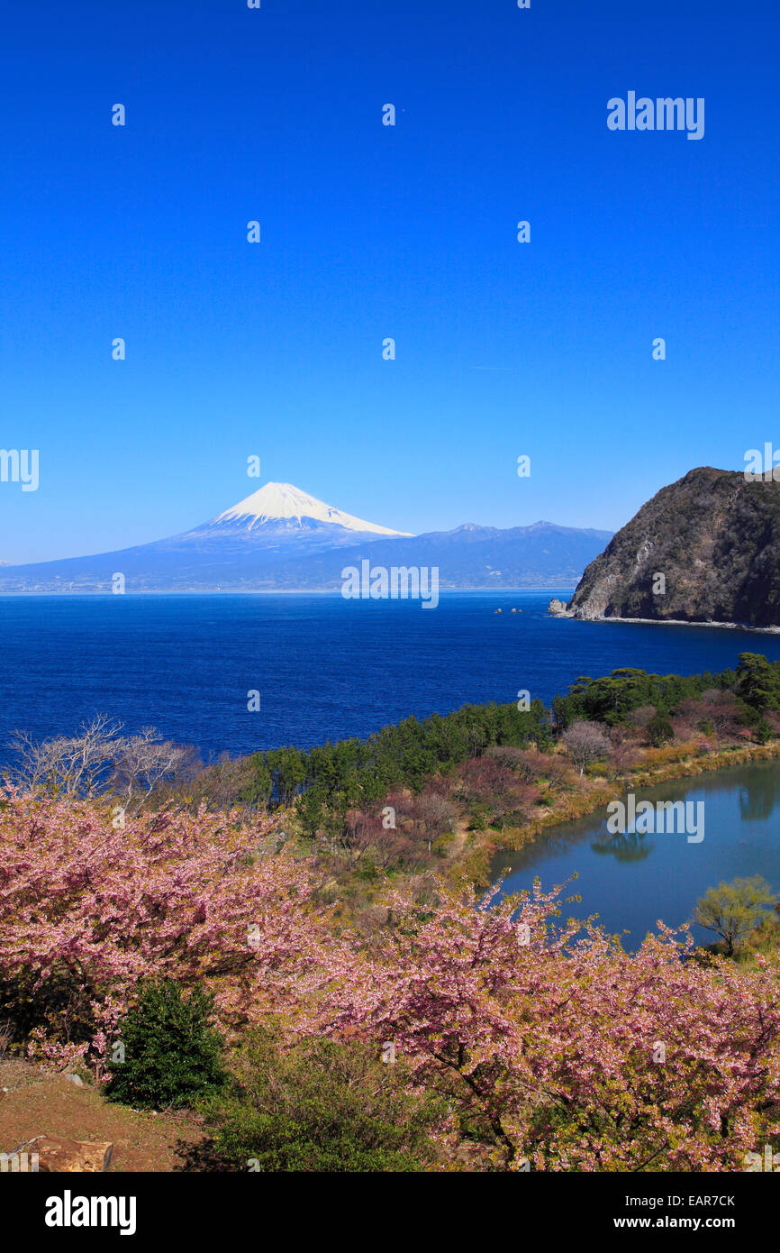 Shizuoka Prefecture, Japan Stock Photo Alamy