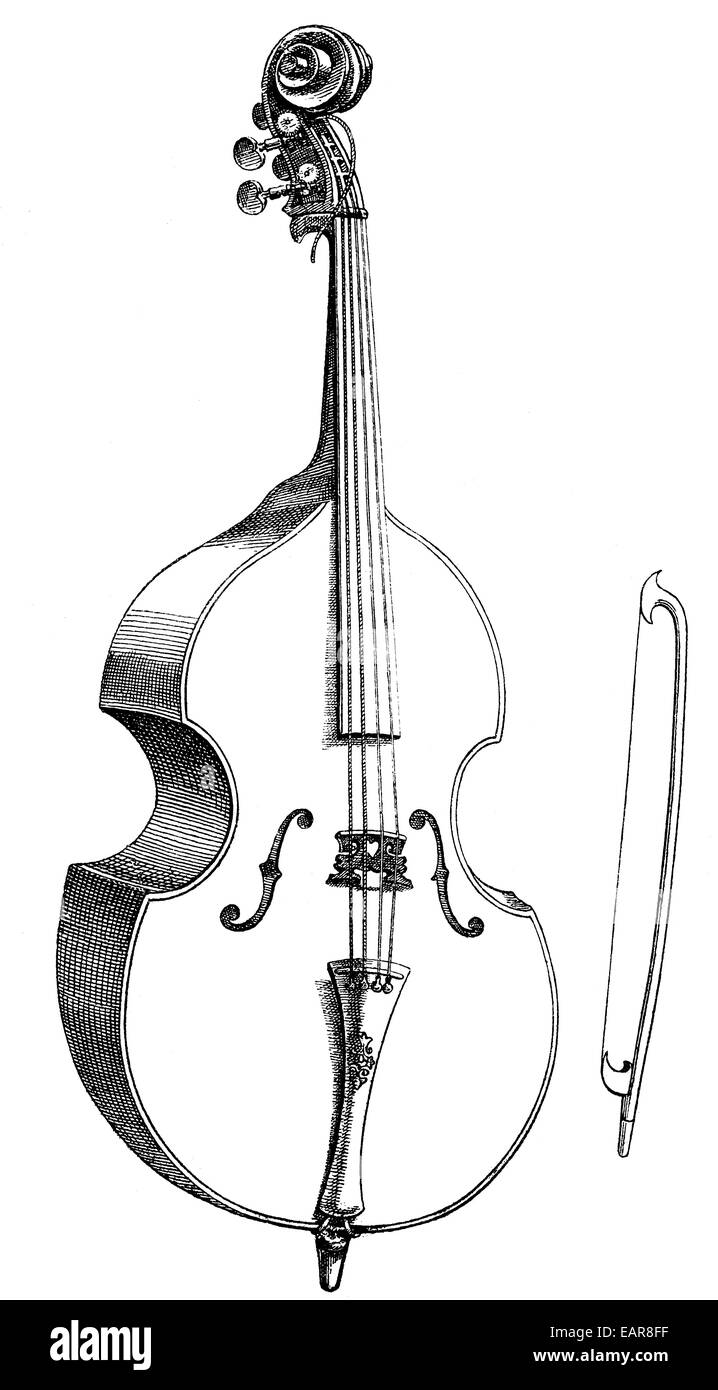 Playing double bass white hi-res stock photography and images - Alamy