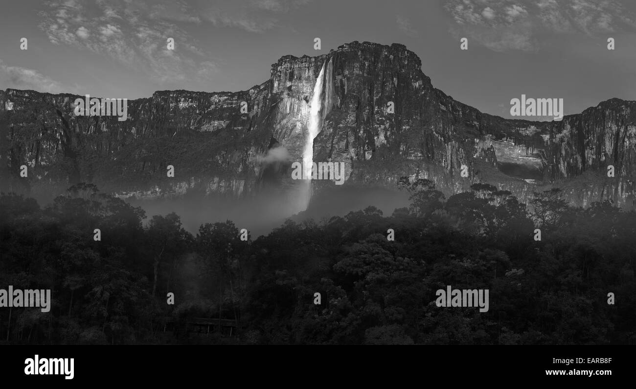 Panoramic view of tropical Angel Falls in Venezuela jungle. Stock Photo