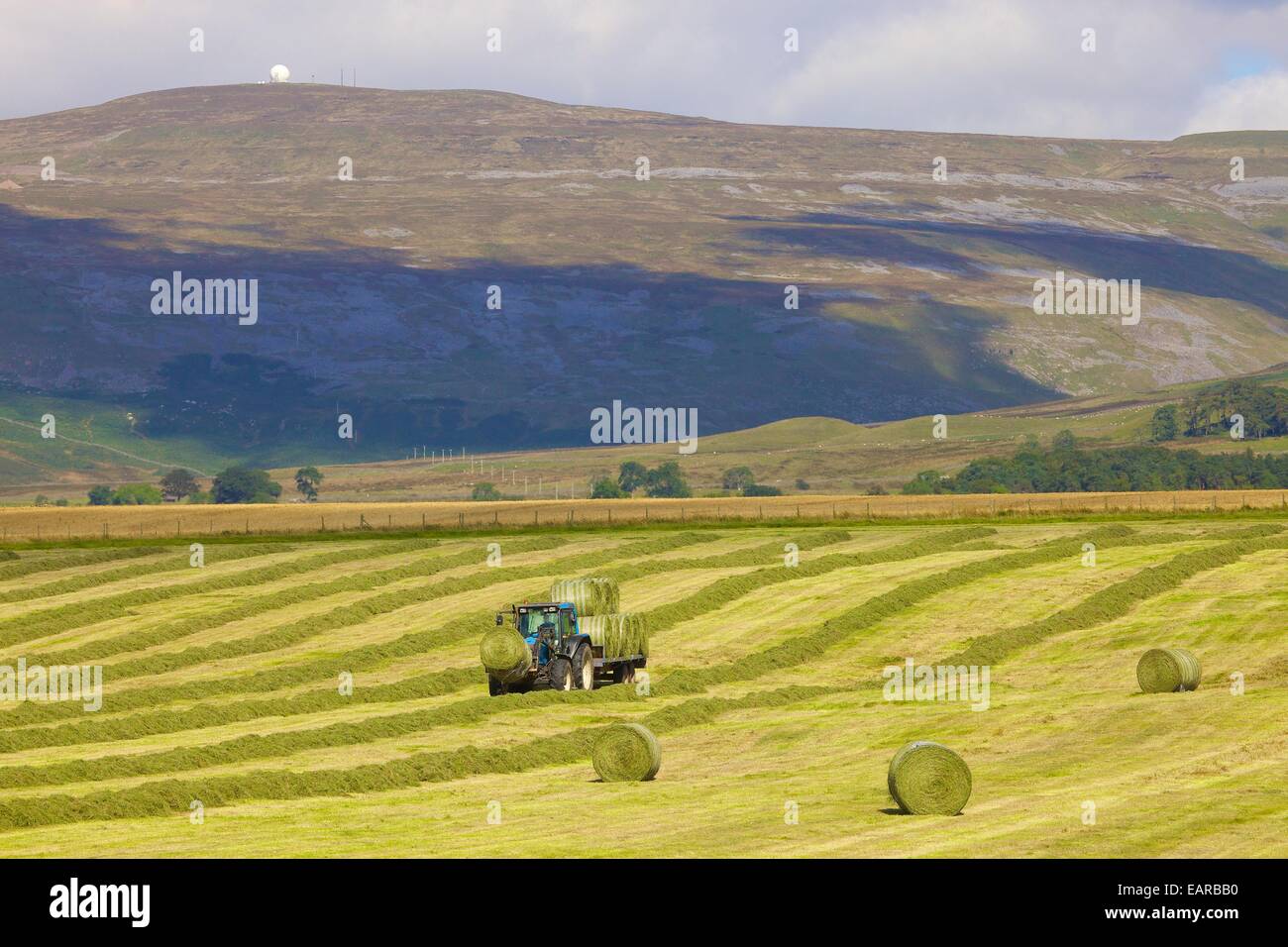 Tractor and trailer transporting hay bails below radar station. Great Dun Fell, Eden Valley, Cumbria, England, UK. Stock Photo