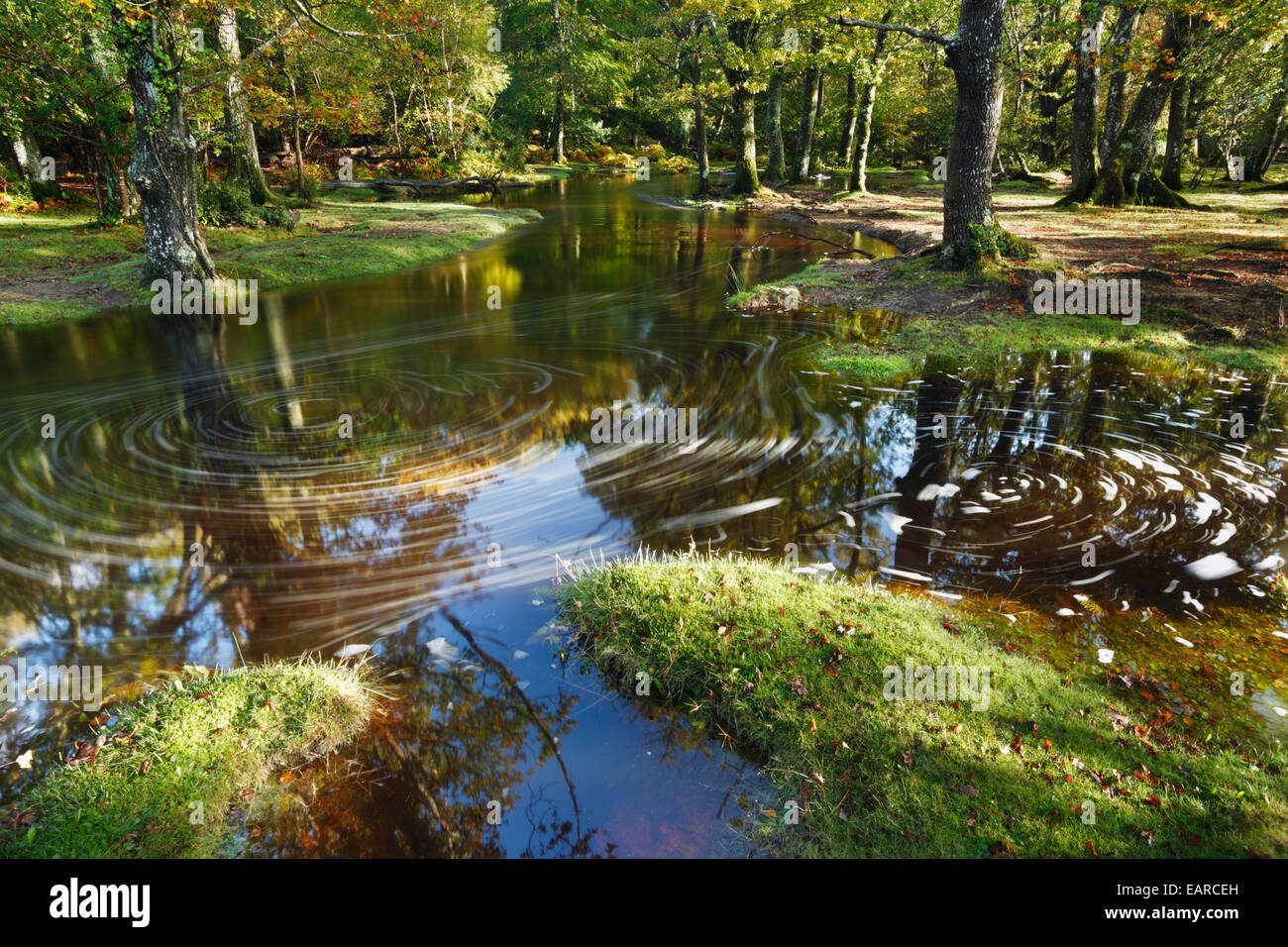 Ober Water. New Forest National Park. Hampshire. England. UK. Stock Photo