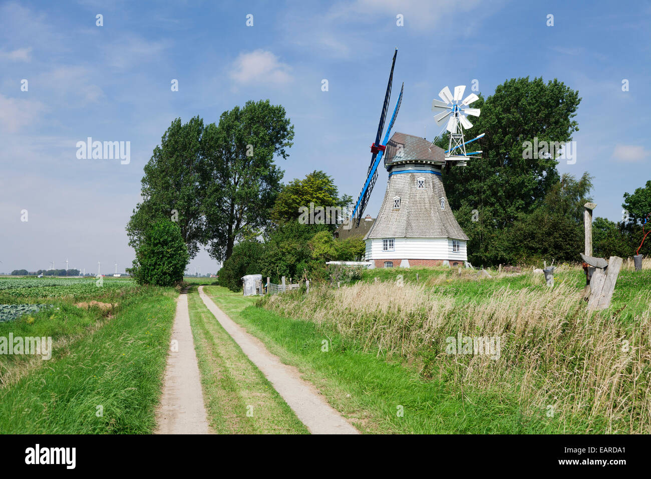 Immanuel Windmill, typical Dutch-style smock windmill, Kronprinzenkoog, Schleswig-Holstein, Germany Stock Photo