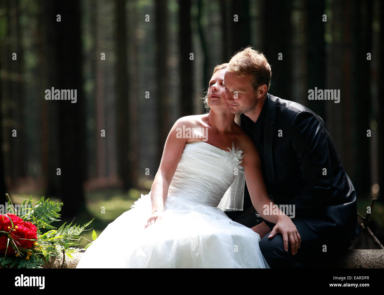 bride and groom shooting at the wedding in the forest Stock Photo - Alamy