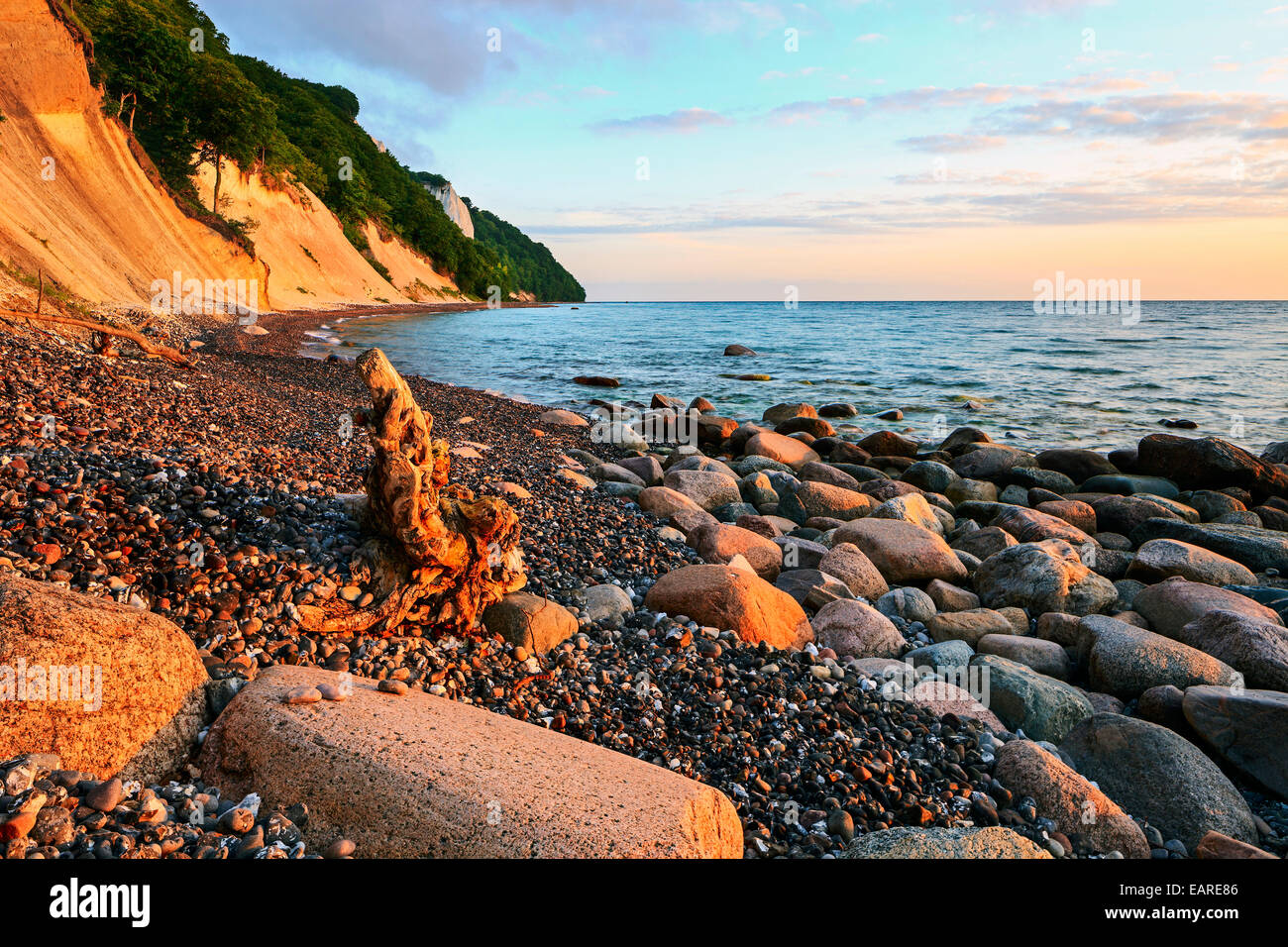 Chalk cliffs with the Koenigsstuhl cliff in the early morning, Sassnitz