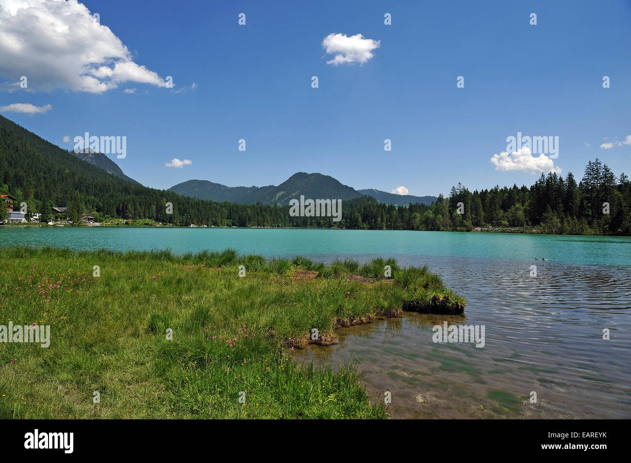 The shimmering green Lake Hintersee, Ramsau bei Berchtesgaden, Berchtesgadener Land District, Upper Bavaria, Bavaria, Germany Stock Photo